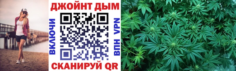  COCAIN Гатчина