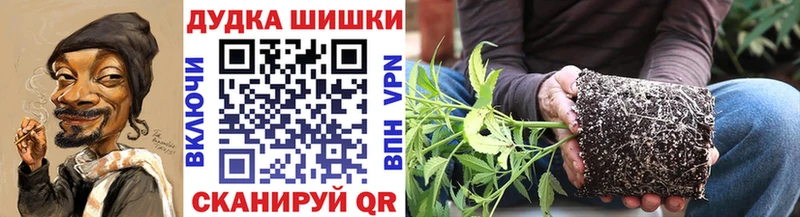 Как найти наркотики Гатчина Псилоцибиновые грибы Cocaine АМФ МЕФ Каннабис
