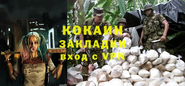 твердый Бородино