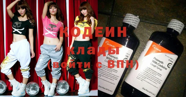 твердый Бородино