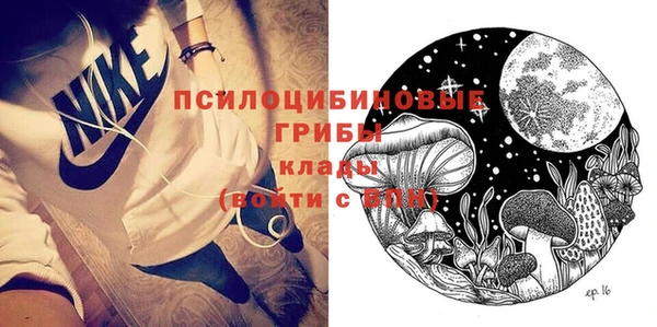 гашик Бугульма
