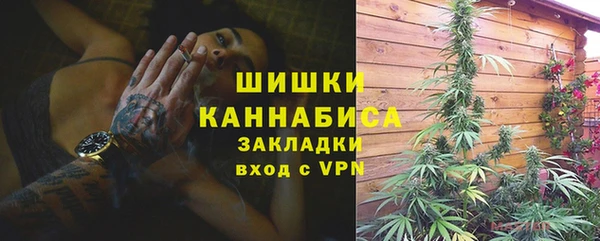 твердый Бородино