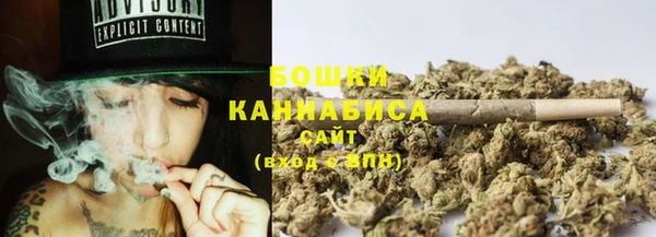 твердый Бородино
