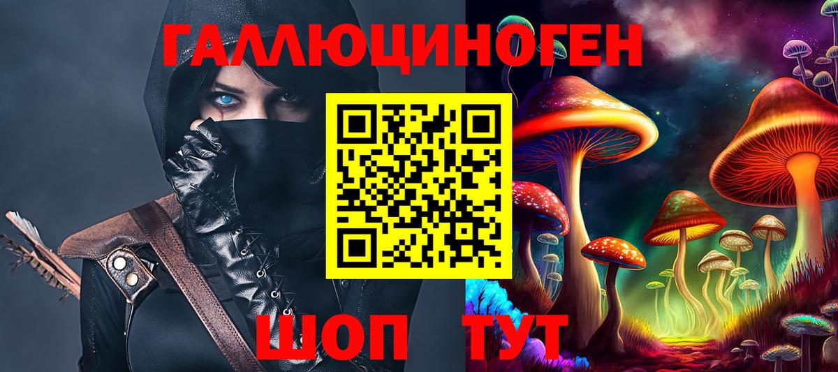 Псилоцибиновые грибы Psilocybine cubensis  Гатчина  Псилоцибиновые грибы Cubensis 