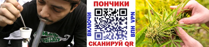 Бошки Шишки LSD WEED  Гатчина 